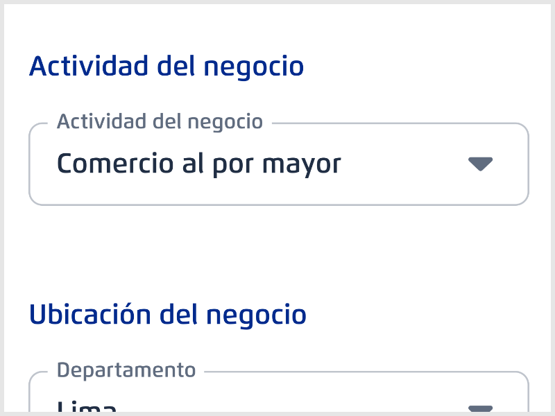 Interfaz de búsqueda de actividad económica para PyMEs mostrando la dificultad de selección manual y falta de autocompletado
