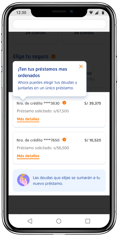 consolidacion-wireframes-002