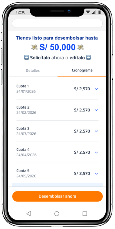 Pantalla que muestra el cronograma del crédito recomendado